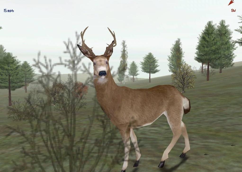 deer hunter 2007 download torent pes