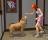 The Sims 2 Pets +5 Trainer - screenshot #3