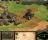 Age of Empires II: The Age of Kings Demo - Farms can be built in order to increase your food income.