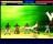 Capoeira Fighter 2 Demo - screenshot #4