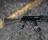 Left 4 Dead 2 Skin - Avtomat Kalashnikov 47 - screenshot #1