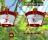 Rayman Jungle Run for Windows 8 - screenshot #2
