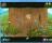 Rotoadventures: Momo's Quest Demo - screenshot #9