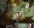 The Far Kingdoms: Sacred Grove Solitaire - screenshot #6