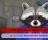 The Raccoon Who Lost Their Shape - You can usually choose between multiple dialog options.