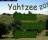 Yahtzee 2010 - screenshot #1