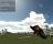 Motorbike Simulator 3D - screenshot #10