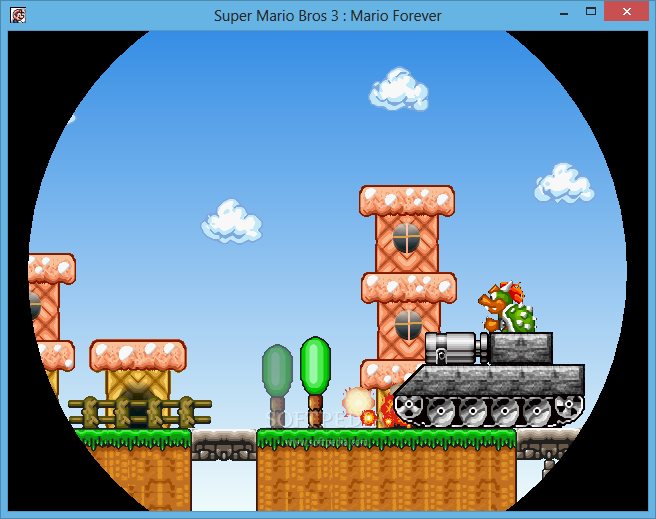 mario forever game