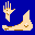 Hand Foot Canasta Demo icon