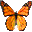 Butterfly Hunt icon