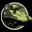 Battle Academy Patch icon