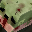 Big Pixel Zombies icon