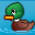 Duck Pond Puzzle