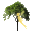 Forest Riddles icon