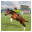 Horse Racing 2016 Demo icon