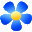 Kvetka icon