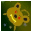 Space Monkeys 4 - DX icon