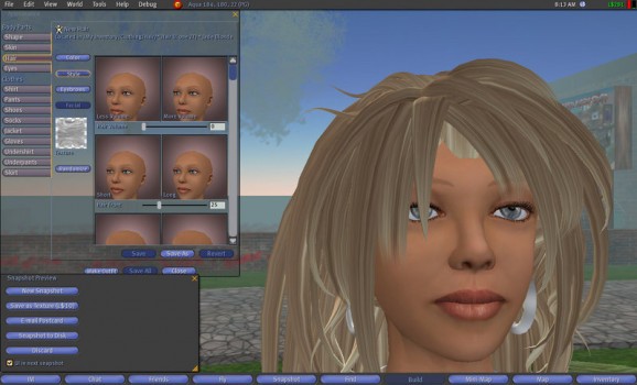 Second Life Client screenshot