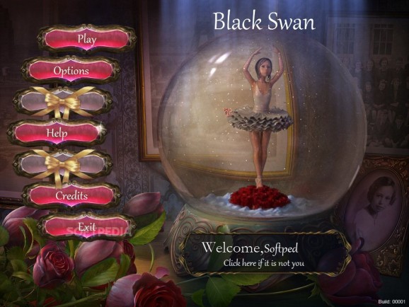 Black Swan screenshot