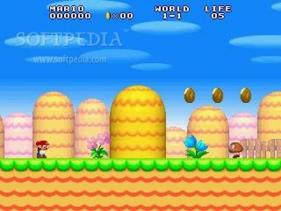 New Super Mario Bros screenshot