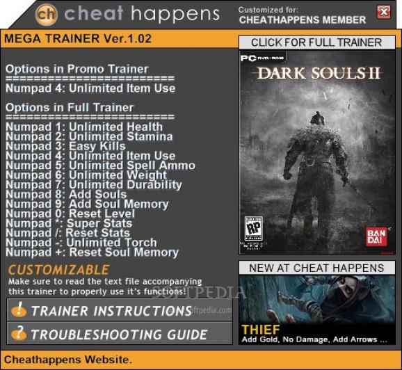 Dark Souls 2 +1 Trainer screenshot
