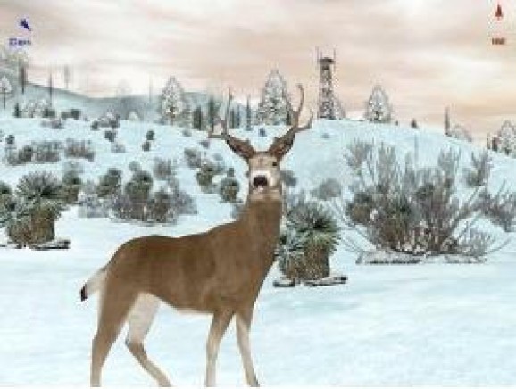 Deer Hunter 4 Patch screenshot