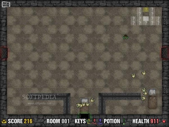 Dungeon Hunt screenshot