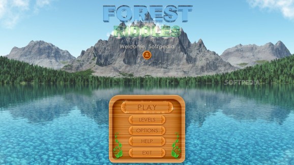 Forest Riddles screenshot