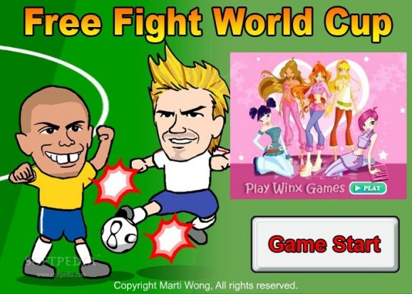 Freefight Worldcup screenshot
