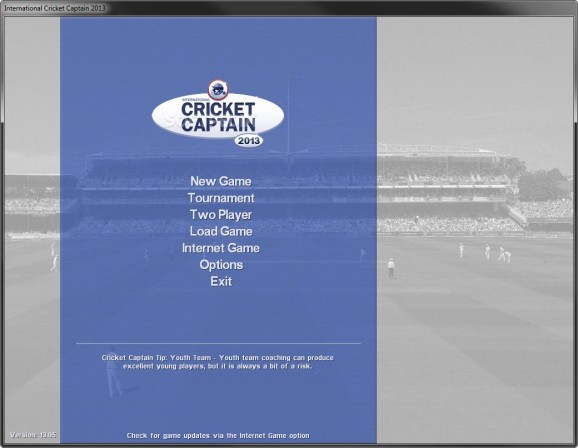 International Cricket Captain 2013 Demo screenshot