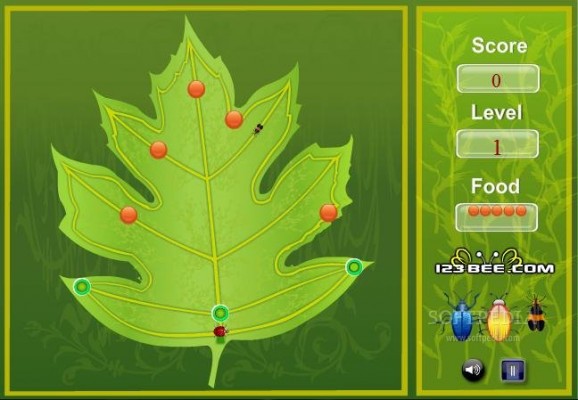 Leaf Rider screenshot