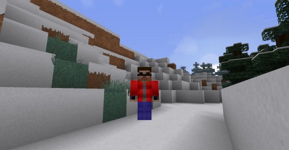 Minecraft Skin - Steve with Jacket, Shades and Gloves screenshot