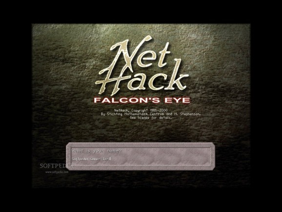 NetHack - Falcon's Eye screenshot