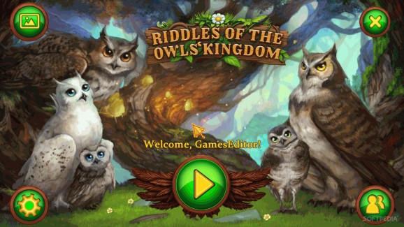 Riddles of the Owls Kingdom screenshot