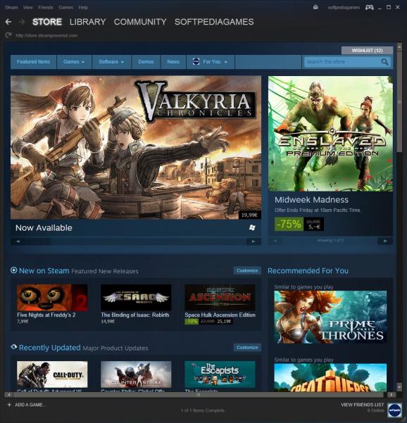 Valve Steam screenshot