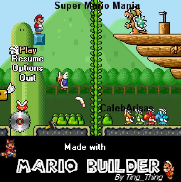 Super Mario Mania screenshot