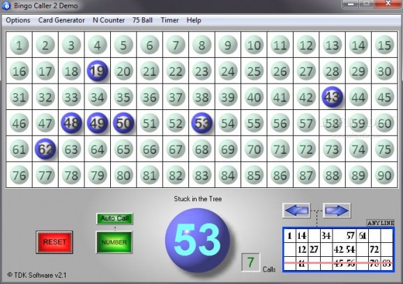 Bingo Caller Pro screenshot