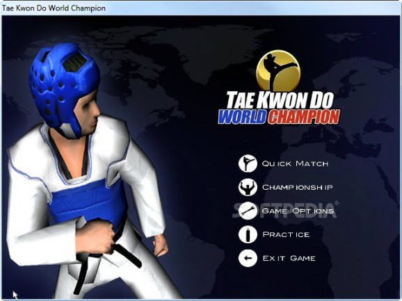 Tae Kwon Do World Champion Demo screenshot