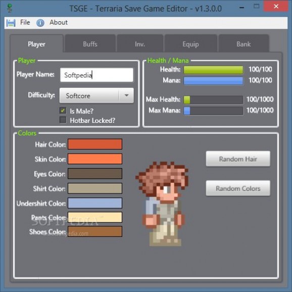 Terraria Save Game Editor screenshot