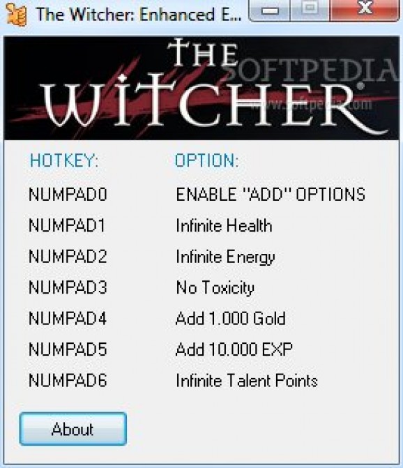 The Witcher Enhanced Edition +6 Trainer for 1.5.0.1304 screenshot