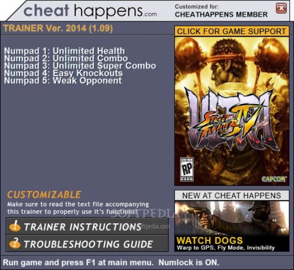 Ultra Street Fighter IV +5 Trainer screenshot
