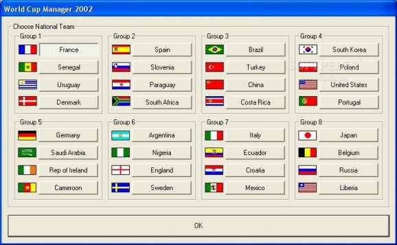 World Cup Manager 2002 screenshot