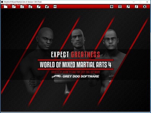 World of Mixed Martial Arts 4 Demo screenshot