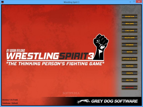Wrestling Spirit 3 Upgrade Patch screenshot